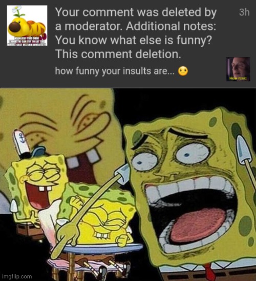 dog_water_shit thinks... that mod abusing is very funny, and How ironic. | image tagged in spongebob laughing hysterically,team wheatley sucks | made w/ Imgflip meme maker