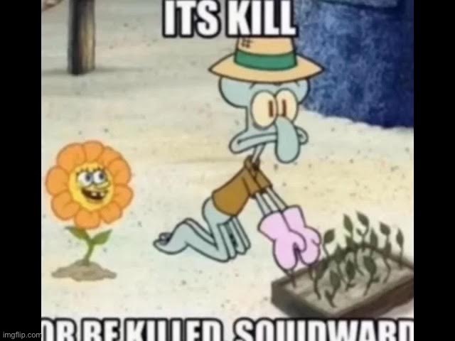 It's kill or be killed Squidward!!! | made w/ Imgflip meme maker