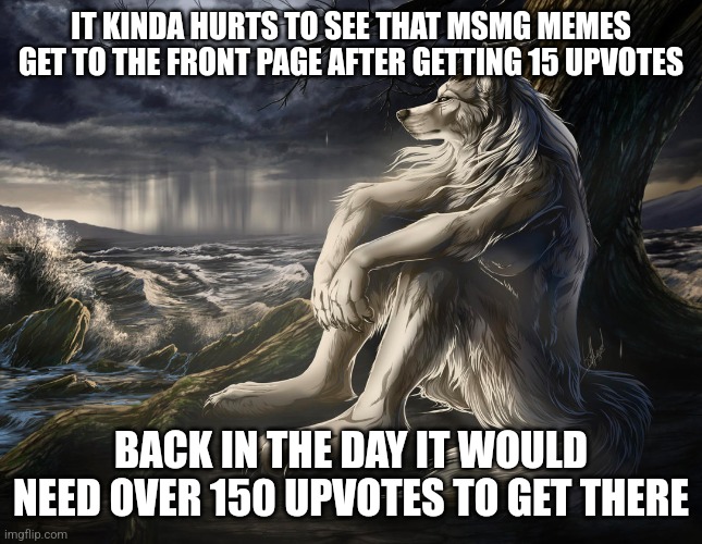 I wonder msmg will ever get that popular again | IT KINDA HURTS TO SEE THAT MSMG MEMES GET TO THE FRONT PAGE AFTER GETTING 15 UPVOTES; BACK IN THE DAY IT WOULD NEED OVER 150 UPVOTES TO GET THERE | image tagged in sitting wolf | made w/ Imgflip meme maker