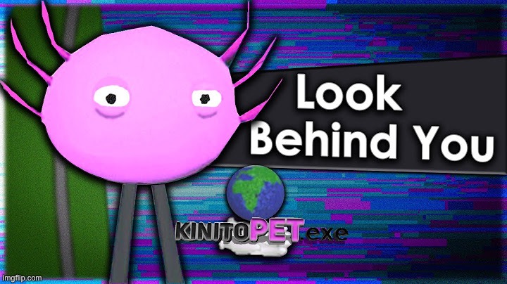 I love my best friend! Kinito! | image tagged in look behind you its kinito | made w/ Imgflip meme maker