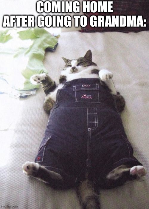 Fat Cat | COMING HOME AFTER GOING TO GRANDMA: | image tagged in memes,fat cat | made w/ Imgflip meme maker