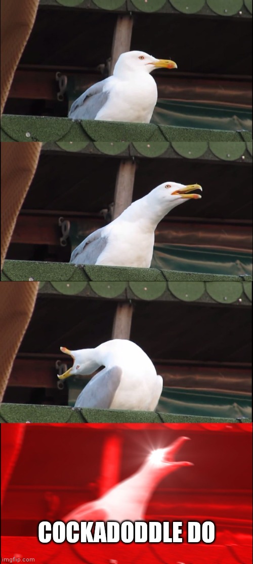 Bird | COCKADODDLE DO | image tagged in memes,inhaling seagull,funny memes | made w/ Imgflip meme maker