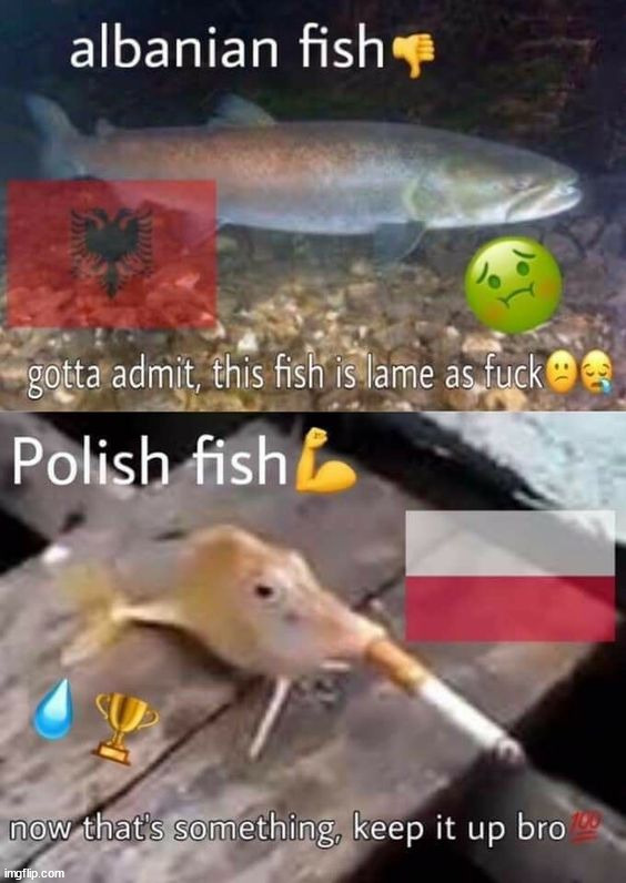 i remember when a bunch of people would post this image for some reason | made w/ Imgflip meme maker