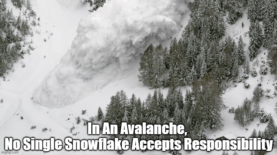 "In An Avalanche, No Single Snowflake...." | In An Avalanche, 
No Single Snowflake Accepts Responsibility | image tagged in avalanche,snowflake,responsibility,people in groups,people in large groups | made w/ Imgflip meme maker