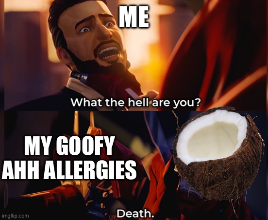 Bro I can’t be having those coconuts | ME; MY GOOFY AHH ALLERGIES | image tagged in what the hell are you death,coconut | made w/ Imgflip meme maker