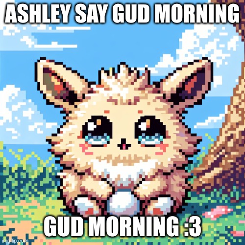 cute furry | ASHLEY SAY GUD MORNING; GUD MORNING :3 | image tagged in cute furry | made w/ Imgflip meme maker
