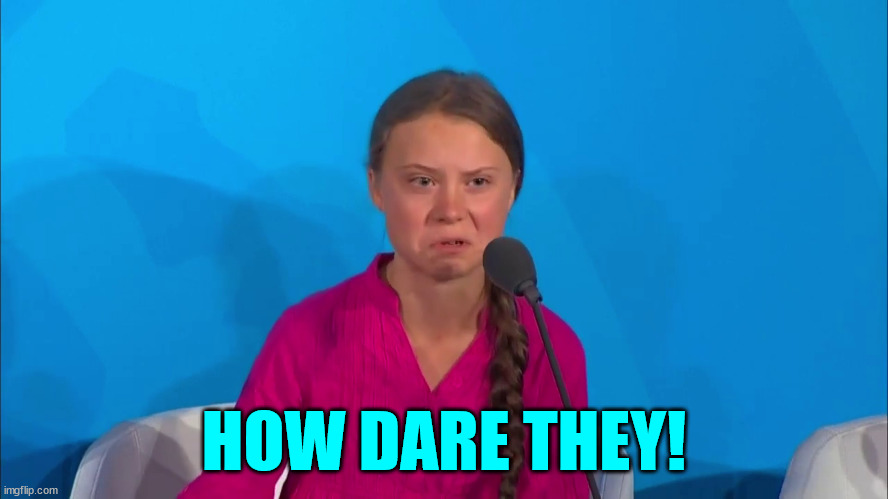 "How dare you?" - Greta Thunberg | HOW DARE THEY! | image tagged in how dare you - greta thunberg | made w/ Imgflip meme maker