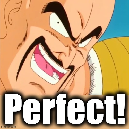 Hilarious Nappa | Perfect! | image tagged in hilarious nappa | made w/ Imgflip meme maker