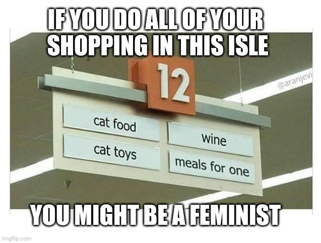 Jeff Foxworthy | IF YOU DO ALL OF YOUR 
SHOPPING IN THIS ISLE; YOU MIGHT BE A FEMINIST | image tagged in you might be a feminist | made w/ Imgflip meme maker