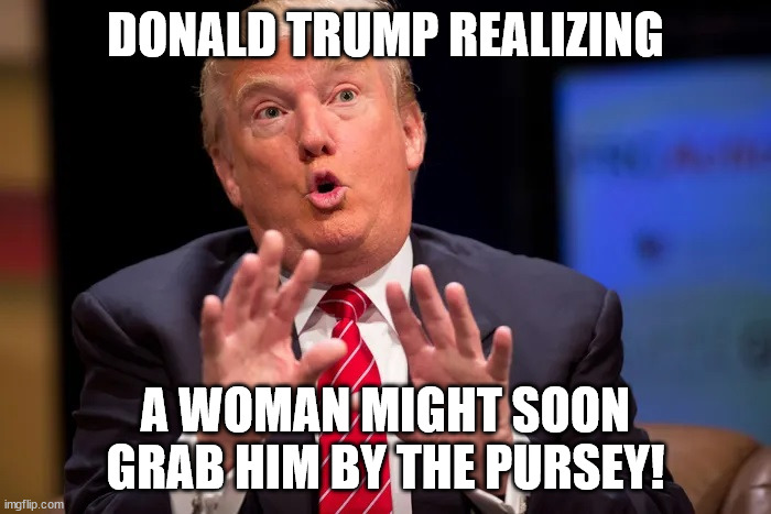 Donald Trump | DONALD TRUMP REALIZING; A WOMAN MIGHT SOON GRAB HIM BY THE PURSEY! | image tagged in loser | made w/ Imgflip meme maker