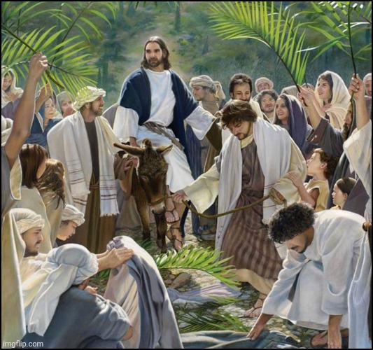 Happy Palm Sunday!!! | image tagged in palm sunday | made w/ Imgflip meme maker