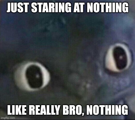 Shitpostin Time! | JUST STARING AT NOTHING; LIKE REALLY BRO, NOTHING | image tagged in toothless blank stare | made w/ Imgflip meme maker