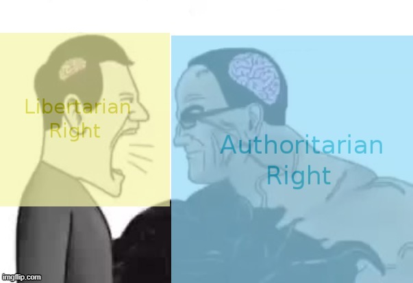 Lib Right vs Auth Right | image tagged in lib right vs auth right | made w/ Imgflip meme maker