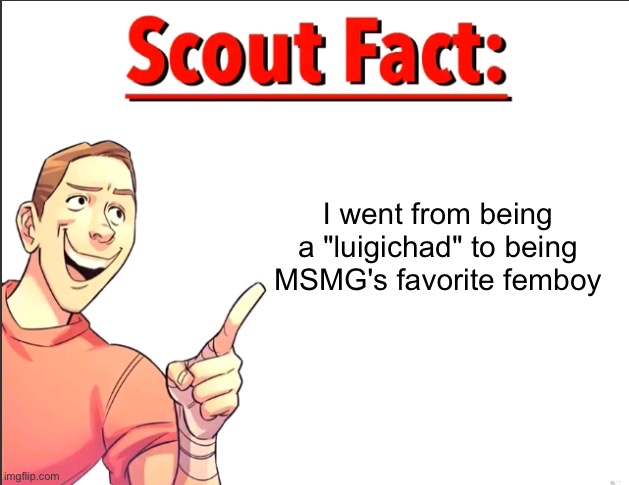 Scout Fact | I went from being a "luigichad" to being MSMG's favorite femboy | image tagged in scout fact | made w/ Imgflip meme maker