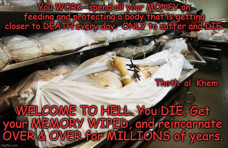 REINCARNATION IN HELL-EARTH. | You WORK--spend all your MONEY on feeding and protecting a body that is getting closer to DEATH every day.  ONLY to suffer and DIE. Thoth  al  Khem; WELCOME TO HELL. You DIE, Get your MEMORY WIPED, and reincarnate OVER & OVER for MILLIONS of years. | image tagged in hell,earth is hell,religion is bs,faith in unseen is the enemy of truth | made w/ Imgflip meme maker