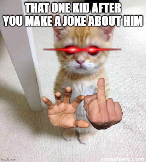 Cute Cat | THAT ONE KID AFTER YOU MAKE A JOKE ABOUT HIM | image tagged in memes,cute cat | made w/ Imgflip meme maker