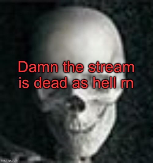 . | Damn the stream is dead as hell rn | image tagged in skull | made w/ Imgflip meme maker