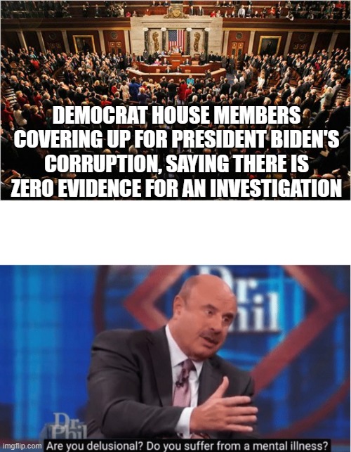 Delusional or Evil? | DEMOCRAT HOUSE MEMBERS COVERING UP FOR PRESIDENT BIDEN'S CORRUPTION, SAYING THERE IS ZERO EVIDENCE FOR AN INVESTIGATION | image tagged in congress,are you delusional | made w/ Imgflip meme maker