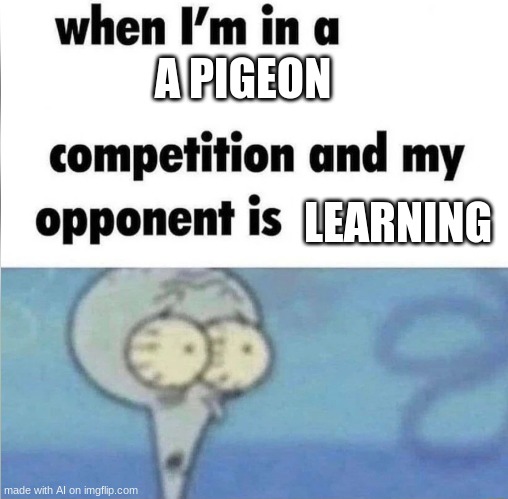 whe i'm in a competition and my opponent is | A PIGEON; LEARNING | image tagged in comics/cartoons | made w/ Imgflip meme maker