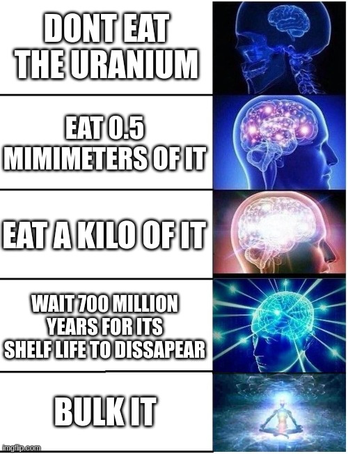 Expanding Brain 5 Panel | DONT EAT THE URANIUM EAT 0.5 MIMIMETERS OF IT EAT A KILO OF IT WAIT 700 MILLION YEARS FOR ITS SHELF LIFE TO DISSAPEAR BULK IT | image tagged in expanding brain 5 panel | made w/ Imgflip meme maker
