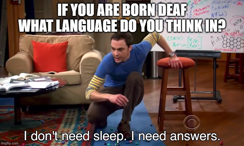 Sheldon deaf | IF YOU ARE BORN DEAF WHAT LANGUAGE DO YOU THINK IN? | image tagged in i need answers | made w/ Imgflip meme maker