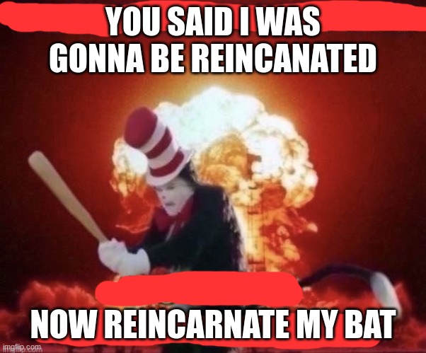 Beg for forgiveness | YOU SAID I WAS GONNA BE REINCANATED NOW REINCARNATE MY BAT | image tagged in beg for forgiveness | made w/ Imgflip meme maker