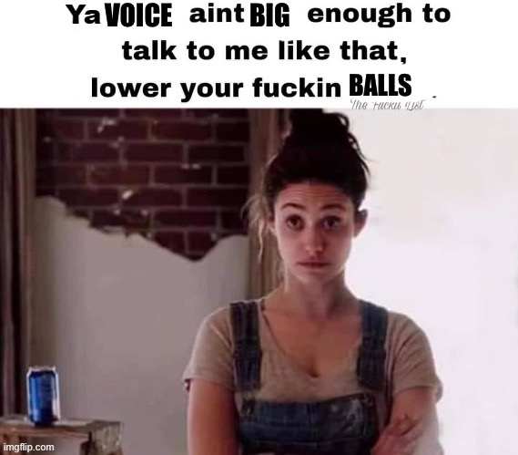 Voice | VOICE               BIG BALLS | image tagged in voice,balls | made w/ Imgflip meme maker