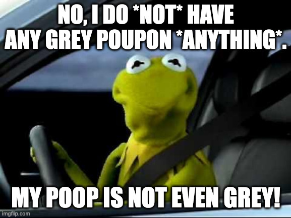 Kermit Car | NO, I DO *NOT* HAVE ANY GREY POUPON *ANYTHING*. MY POOP IS NOT EVEN GREY! | image tagged in kermit car | made w/ Imgflip meme maker