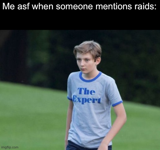 I’ve been in so many wars it makes me cringe | Me asf when someone mentions raids: | image tagged in the expert | made w/ Imgflip meme maker