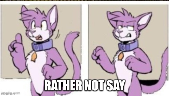 Speechless furry template | RATHER NOT SAY | image tagged in speechless furry template | made w/ Imgflip meme maker