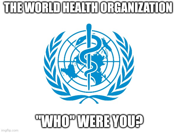 World health organization | THE WORLD HEALTH ORGANIZATION; "WHO" WERE YOU? | image tagged in memes,who,world health organization | made w/ Imgflip meme maker