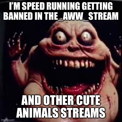Lmao | I’M SPEED RUNNING GETTING BANNED IN THE_AWW_STREAM; AND OTHER CUTE ANIMALS STREAMS | image tagged in dr giggletouch | made w/ Imgflip meme maker