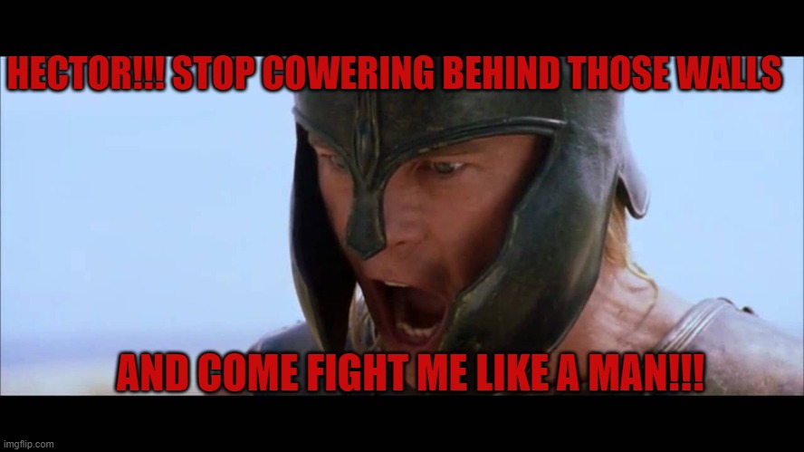 Troy Movie Meme | HECTOR!!! STOP COWERING BEHIND THOSE WALLS; AND COME FIGHT ME LIKE A MAN!!! | image tagged in troy | made w/ Imgflip meme maker