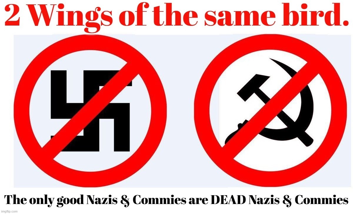 2 Wings of the Same Bird | image tagged in wings of the same bird,crush the commies,crush the nazis,good commies,good nazis,i see dead people | made w/ Imgflip meme maker