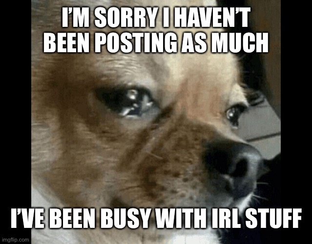 :( | I’M SORRY I HAVEN’T BEEN POSTING AS MUCH; I’VE BEEN BUSY WITH IRL STUFF | image tagged in dog crying | made w/ Imgflip meme maker