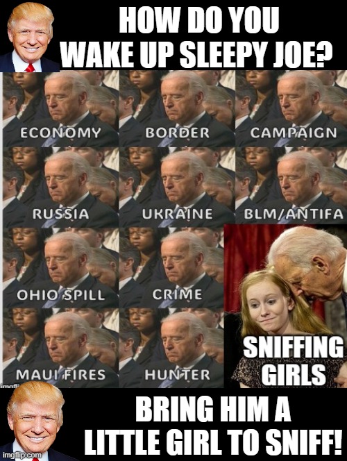 How do you wake up Sleepy Joe? | HOW DO YOU WAKE UP SLEEPY JOE? BRING HIM A LITTLE GIRL TO SNIFF! | image tagged in i don't need sleep i need answers,hey you going to sleep,sad joe biden,trump laughing | made w/ Imgflip meme maker