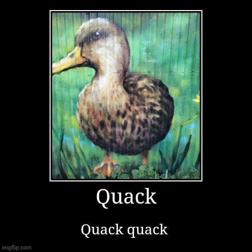 Quack | Quack quack | image tagged in funny,demotivationals | made w/ Imgflip demotivational maker