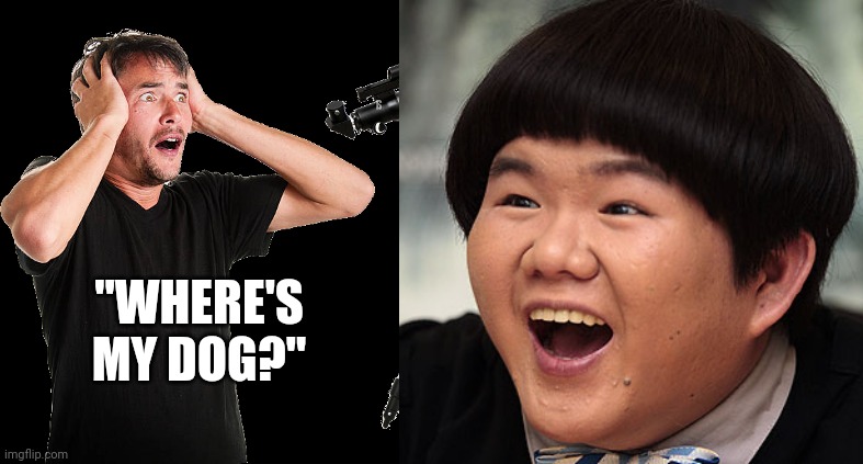 "WHERE'S MY DOG?" | image tagged in white guy panicking while viewing saturn from a telescope,asian guy | made w/ Imgflip meme maker