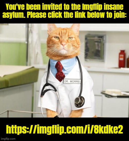 Stop scrolling, Dr. Cat needs to speak with you | You've been invited to the Imgflip insane asylum. Please click the link below to join:; https://imgflip.com/i/8kdke2 | image tagged in cat doctor | made w/ Imgflip meme maker