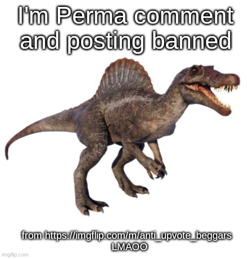 JPSpinoSaurus's other announcement temp | I'm Perma comment and posting banned; from https://imgflip.com/m/anti_upvote_beggars 
 LMAOO | image tagged in jpspinosaurus's other announcement temp | made w/ Imgflip meme maker
