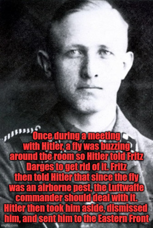 Talk about no sense of humor | Once during a meeting with Hitler, a fly was buzzing around the room so Hitler told Fritz Darges to get rid of it. Fritz then told Hitler that since the fly was an airborne pest, the Luftwaffe commander should deal with it. Hitler then took him aside, dismissed 
him, and sent him to the Eastern Front | image tagged in fritz darges | made w/ Imgflip meme maker