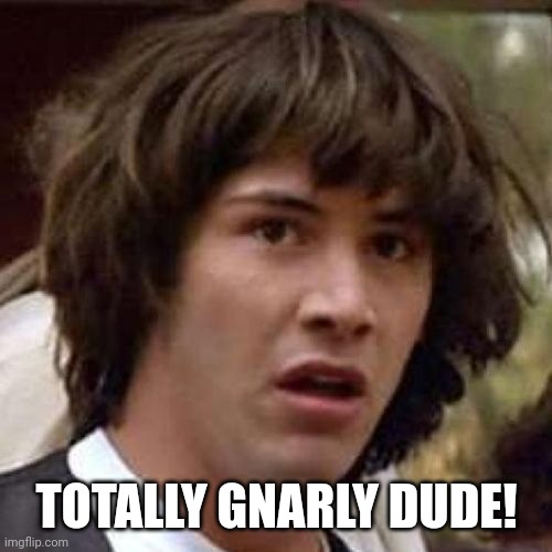 whoa | TOTALLY GNARLY DUDE! | image tagged in whoa | made w/ Imgflip meme maker