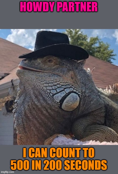 HOWDY PARTNER; I CAN COUNT TO 500 IN 200 SECONDS | made w/ Imgflip meme maker