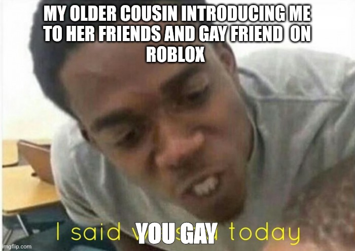i said we ____ today | MY OLDER COUSIN INTRODUCING ME
TO HER FRIENDS AND GAY FRIEND  ON
ROBLOX; YOU GAY | image tagged in i said we ____ today | made w/ Imgflip meme maker