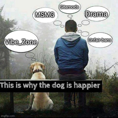 This is why the dog is happier | Sitemods; Drama; MSMG; Unfair bans; Vibe_Zone | image tagged in this is why the dog is happier | made w/ Imgflip meme maker