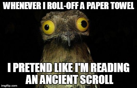 Weird Stuff I Do Potoo Meme | WHENEVER I ROLL-OFF A PAPER TOWEL I PRETEND LIKE I'M READING AN ANCIENT SCROLL | image tagged in memes,weird stuff i do potoo | made w/ Imgflip meme maker