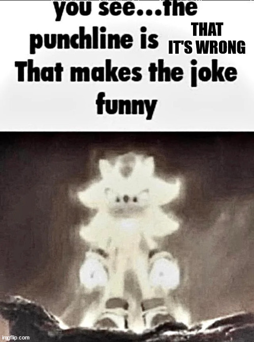 Shadow explains the joke | THAT IT'S WRONG | image tagged in shadow explains the joke | made w/ Imgflip meme maker