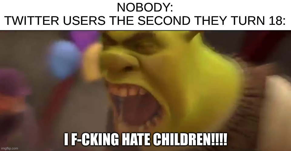 Chill out | NOBODY:
TWITTER USERS THE SECOND THEY TURN 18:; I F-CKING HATE CHILDREN!!!! | image tagged in shrek screaming,twitter | made w/ Imgflip meme maker