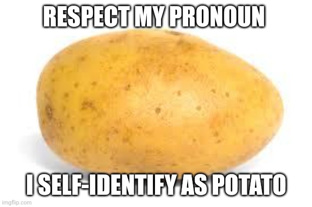 Respect my pronoun. I self-identify as potato | RESPECT MY PRONOUN; I SELF-IDENTIFY AS POTATO | image tagged in potato,pronouns | made w/ Imgflip meme maker