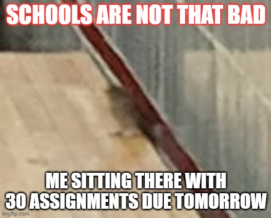 School bruh | SCHOOLS ARE NOT THAT BAD; ME SITTING THERE WITH 30 ASSIGNMENTS DUE TOMORROW | image tagged in birds,homework,school | made w/ Imgflip meme maker